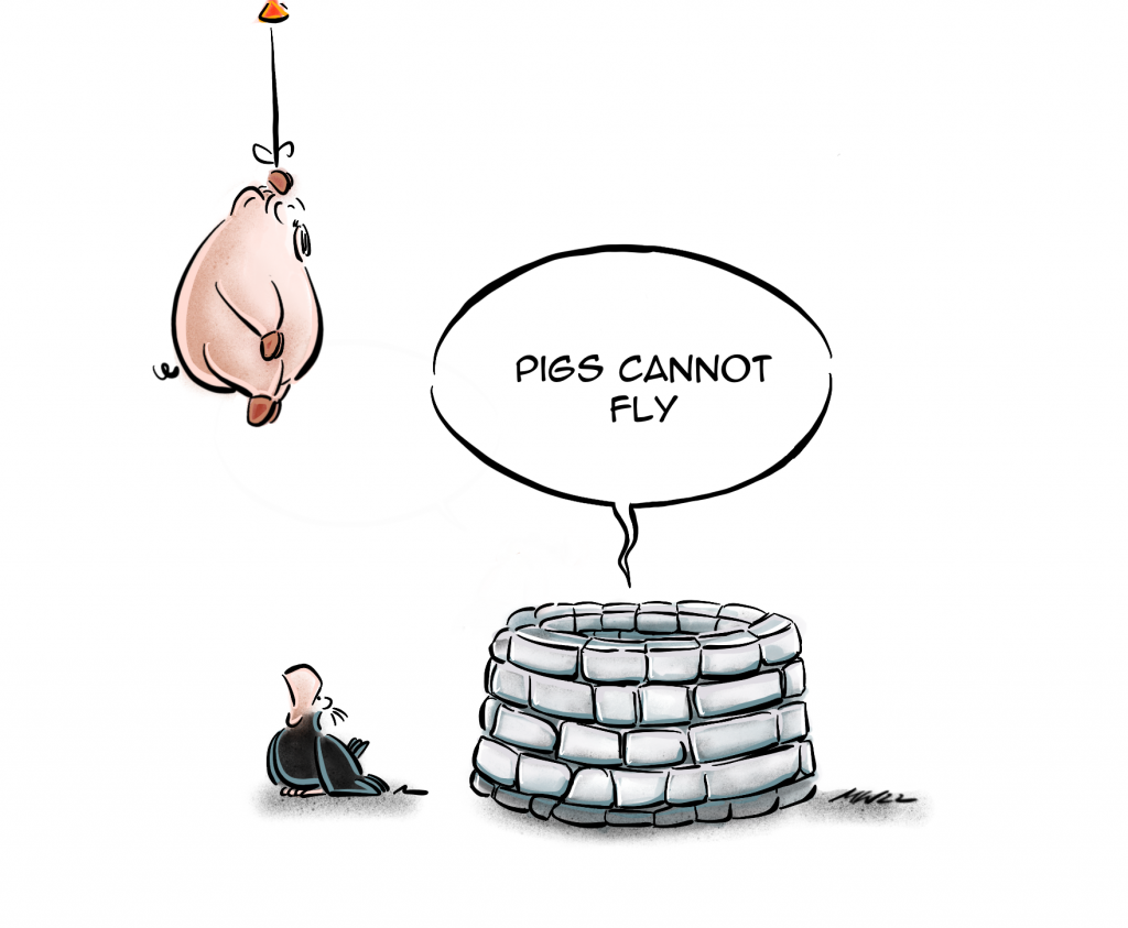 Pigs cannot Fly